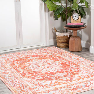 Marsh ornate Medallion Washable Area Rug