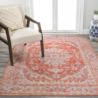 Marsh ornate Medallion Washable Area Rug