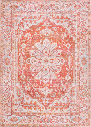 marsh-ornate-medallion-washable-area-rug