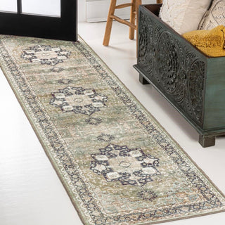 Twitty ornate Medallion Washable Area Rug