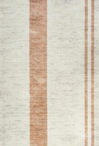 Parker Modern Distressed Stripe Machine-washable Area Rug