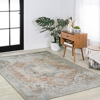 Elida Distressed Medallion Chenille Machine-washable Area Rug