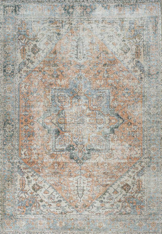 Elida Distressed Medallion Chenille Machine-washable Area Rug