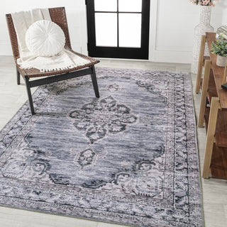 Vernal Chenille Cottage Medallion Machine-washable Area Rug