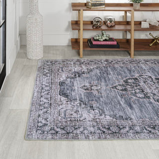 Vernal Chenille Cottage Medallion Machine-washable Area Rug