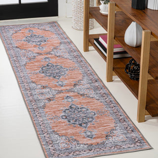 Vernal Chenille Cottage Medallion Machine-washable Area Rug