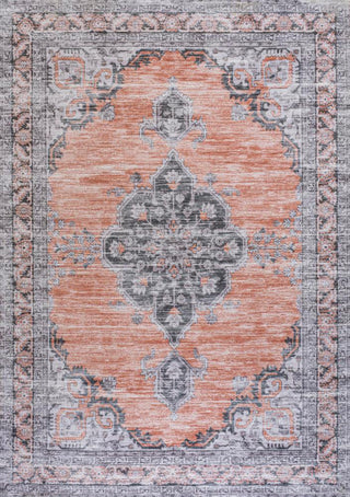 Vernal Chenille Cottage Medallion Machine-washable Area Rug