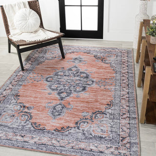 Vernal Chenille Cottage Medallion Machine-washable Area Rug