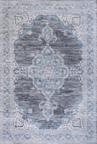 Vernal Chenille Cottage Medallion Machine-washable Area Rug