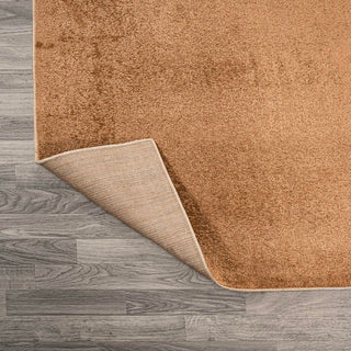 Alexander Classic Solid Low-Pile Machine-Washable Area Rug