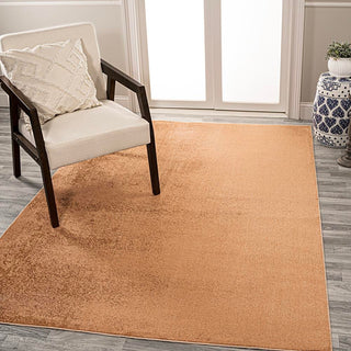 Alexander Classic Solid Low-Pile Machine-Washable Area Rug