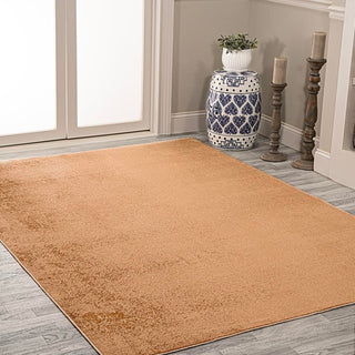 Alexander Classic Solid Low-Pile Machine-Washable Area Rug