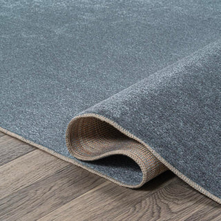 Alexander Classic Solid Low-Pile Machine-Washable Area Rug