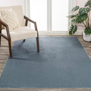 Alexander Classic Solid Low-Pile Machine-Washable Area Rug