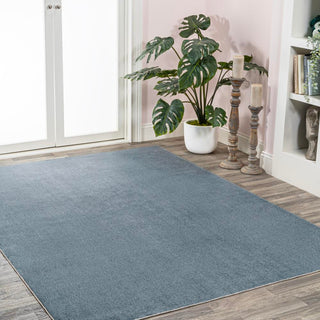 Alexander Classic Solid Low-Pile Machine-Washable Area Rug