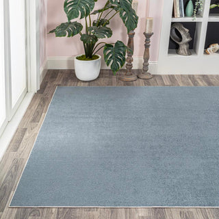 Alexander Classic Solid Low-Pile Machine-Washable Area Rug