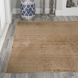 Alexander Classic Solid Low-Pile Machine-Washable Area Rug