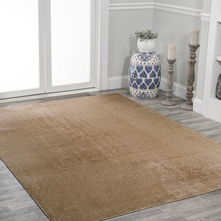 Alexander Classic Solid Low-Pile Machine-Washable Area Rug