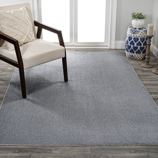 Alexander Classic Solid Low-Pile Machine-Washable Area Rug