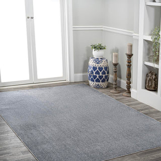 Alexander Classic Solid Low-Pile Machine-Washable Area Rug