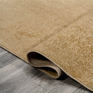 Alexander Classic Solid Low-Pile Machine-Washable Area Rug