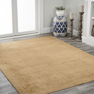 Alexander Classic Solid Low-Pile Machine-Washable Area Rug