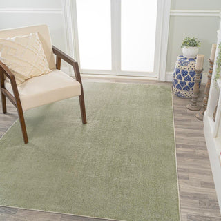 Alexander Classic Solid Low-Pile Machine-Washable Area Rug