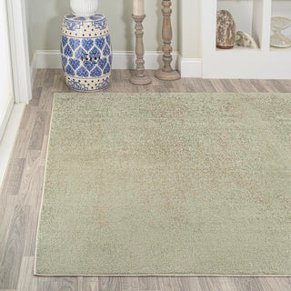 Alexander Classic Solid Low-Pile Machine-Washable Area Rug