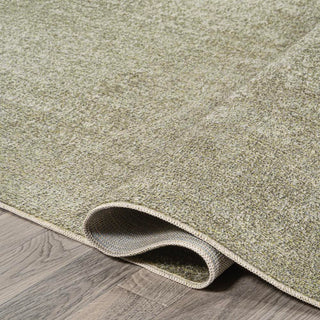 Alexander Classic Solid Low-Pile Machine-Washable Area Rug