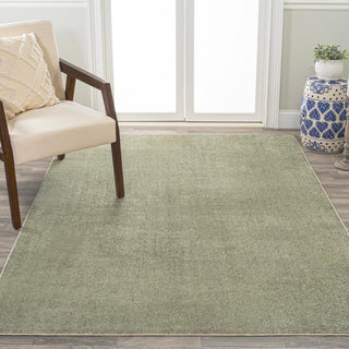 Alexander Classic Solid Low-Pile Machine-Washable Area Rug