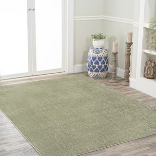 Alexander Classic Solid Low-Pile Machine-Washable Area Rug