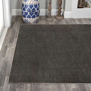 Alexander Classic Solid Low-Pile Machine-Washable Area Rug