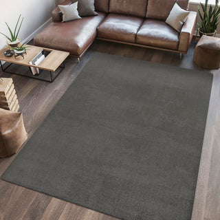 Alexander Classic Solid Low-Pile Machine-Washable Area Rug