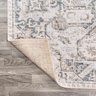 Persian Distressed Medallion Low-Pile Machine-Washable Area Rug