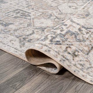 Persian Distressed Medallion Low-Pile Machine-Washable Area Rug