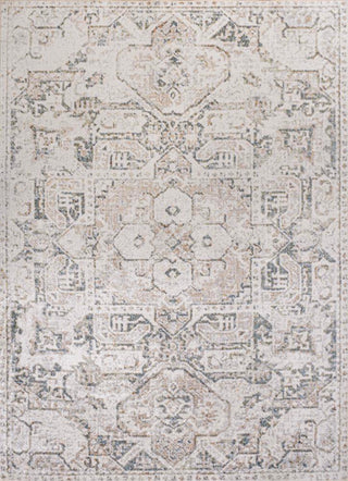 Persian Distressed Medallion Low-Pile Machine-Washable Area Rug