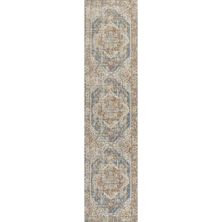 Julita Bold Distressed Medallion Low-Pile Machine-Washable Area Rug