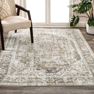 Julita Bold Distressed Medallion Low-Pile Machine-Washable Area Rug