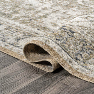 Julita Bold Distressed Medallion Low-Pile Machine-Washable Area Rug