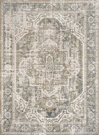 Julita Bold Distressed Medallion Low-Pile Machine-Washable Area Rug