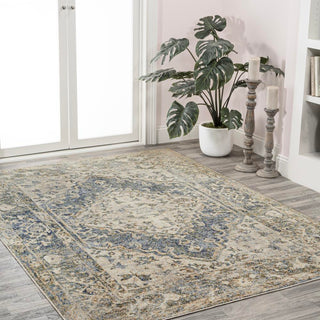 Lotus Distressed Medallion Low-Pile Machine-Washable Area Rug