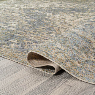 Lotus Distressed Medallion Low-Pile Machine-Washable Area Rug