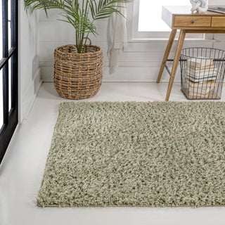 Martin Coastal Solid Glam Shag Machine-Washable Area Rug