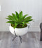 30” Agave Succulent Artificial Plant in White Planter with Metal Stand by Nearly Natural