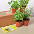 Herb Bundle - 4 Pack by House Plant Shop
