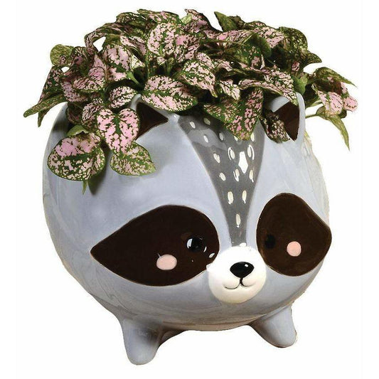 Raccoon Planter by Karma Kiss