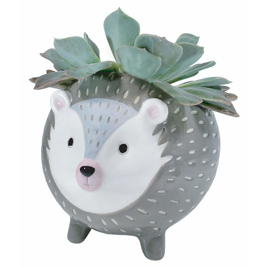 Hedgehog Planter by Karma Kiss
