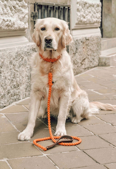 Touch of Leather Dog Leash - Pumpkin by Molly And Stitch US