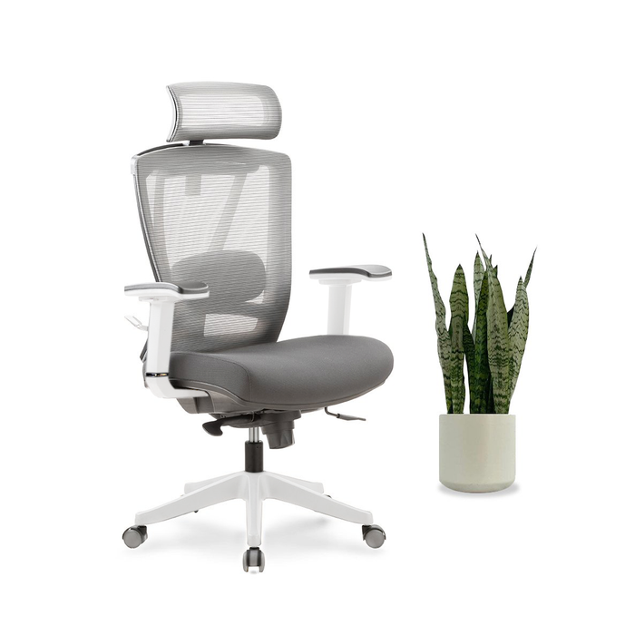 AeryChair - Ergonomic Chair by EFFYDESK Black