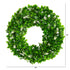 13” Jasmine Artificial Wreath by Nearly Natural
